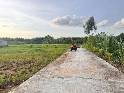 4 lô đất Phú Ngãi Trị, Châu Thành, Long An - Sổ sẵn