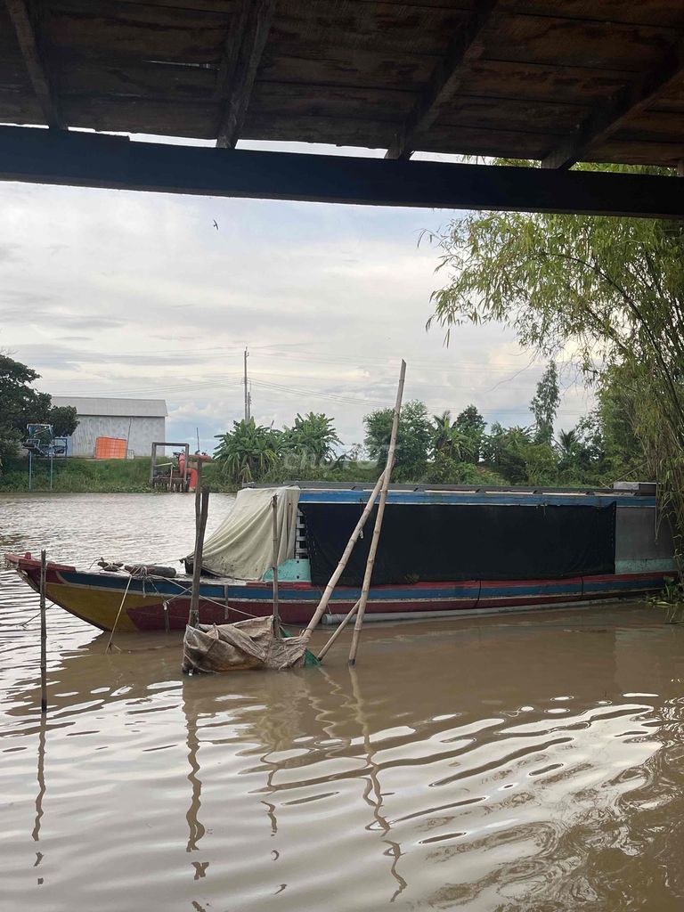 Bán Gấp Ghe Sông Có Mui Che Toàn Bộ ( có fix ). Mua bán Phương tiện khác tại Huyện Tân Hồng Đồng Tháp được đăng bởi Ngọc Thảo hình 3
