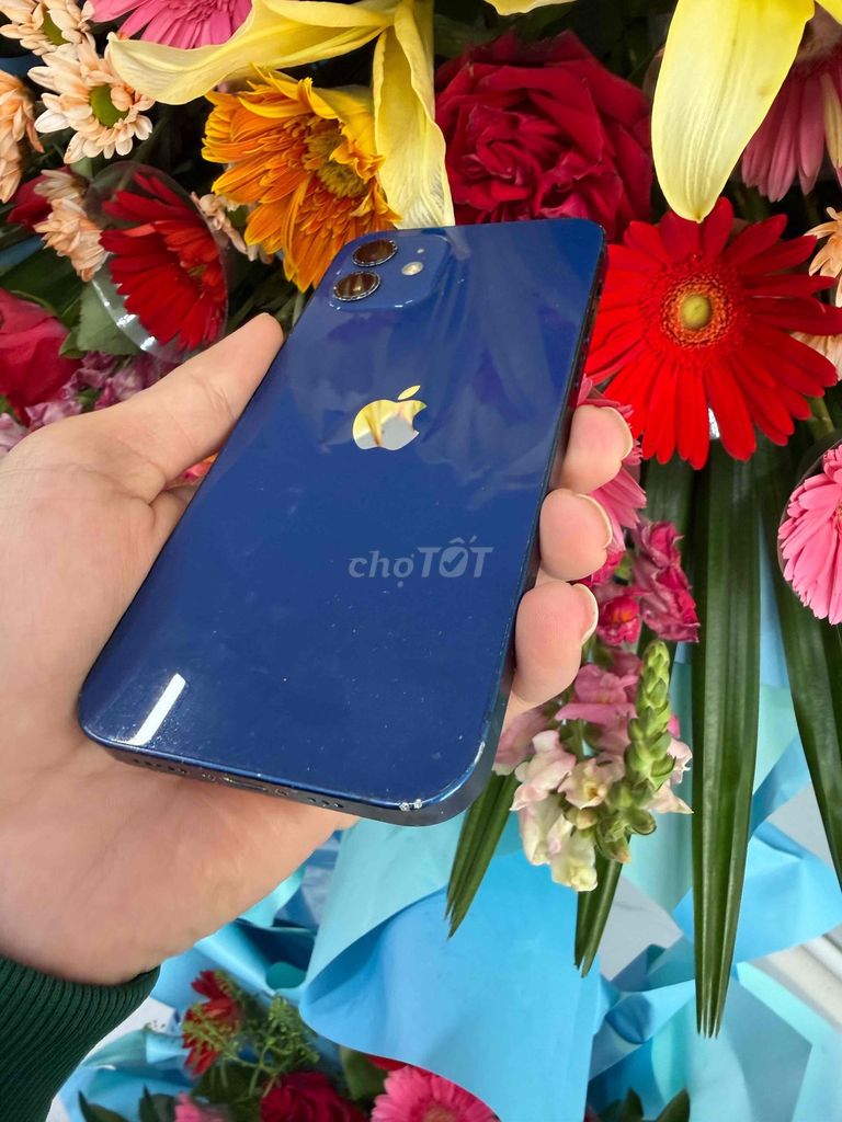 Apple iPhone 12 Xanh zin all quốc tế. Mua bán Điện thoại tại Quận Ninh Kiều Cần Thơ được đăng bởi everest hình 1