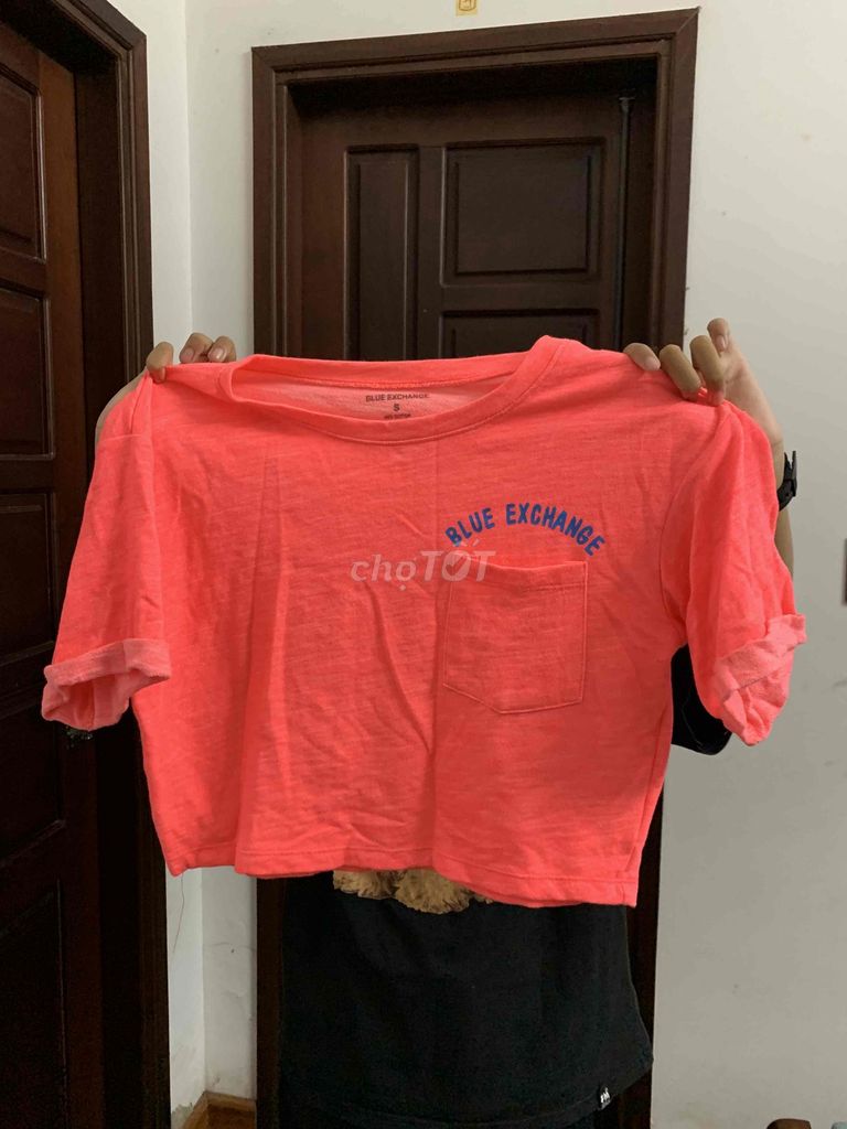 Áo thun Nữ Blue Exchange Hồng Cotton S. Mua bán Quần áo tại Thành phố Huế Thừa Thiên Huế được đăng bởi Nhật Anh Hoàng Nữ hình 1
