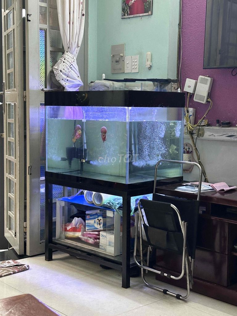 Hồ cá Kính Kim loại Đen. Mua bán Thú cưng khác tại Quận 3 Tp Hồ Chí Minh được đăng bởi Kim Đào hình 1
