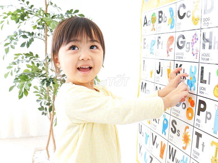Tuyển Giáo Viên Mầm Non Chăm Bé Buổi Tối Nha Trang Tuyển Giáo Viên Mầm Non Chăm Bé Buổi Tối Nha Trang