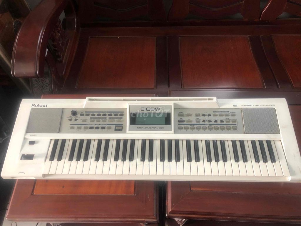 Đàn Organ RoLand E-09W