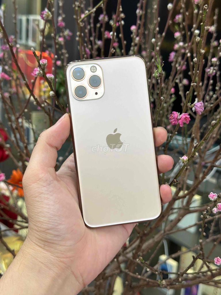 11 Pro 256GB Gold Qte Mỹ Pin New 100 đẹp 99%. Mua bán Điện thoại tại Quận Ninh Kiều Cần Thơ được đăng bởi Quý Mobile Cần thơ hình 1