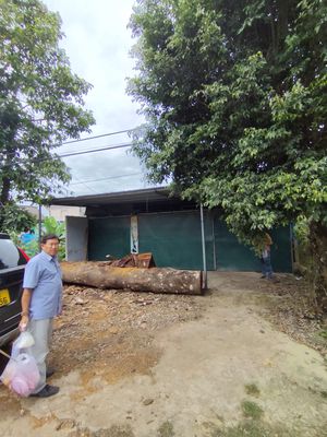 Cần bán lô đất mặt tiền Tỉnh lộ 721 – Đạ Oai, Đạ Huoai, Lâm Đồng. Mua bán đất tại Huyện Đạ Huoai Lâm Đồng được đăng bởi Quốc Vinh