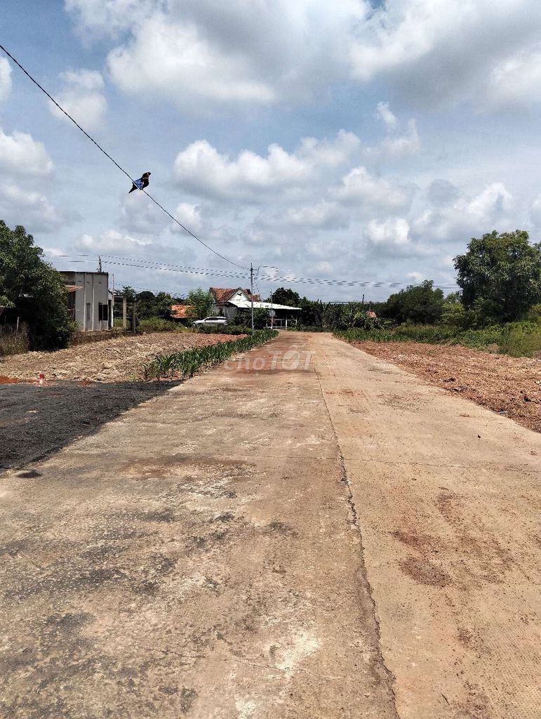 Cần Bán. Mua bán đất tại Huyện Phú Giáo Bình Dương được đăng bởi Thiều Hồng hình 2