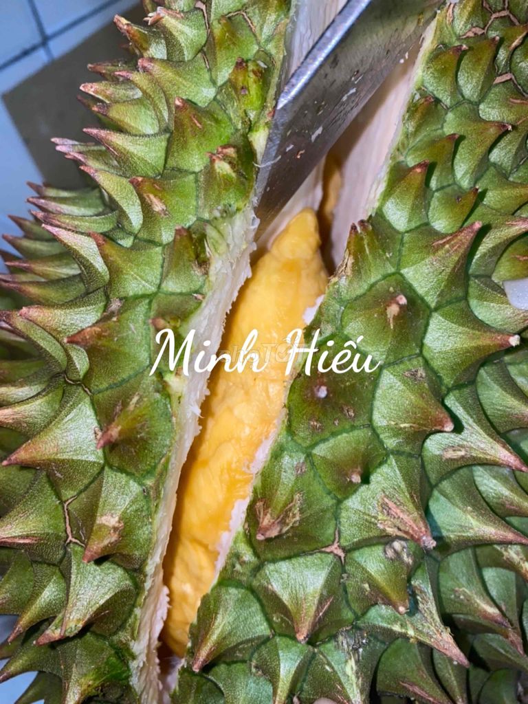 sầu riêng hạt lép Cái Mơn. Mua bán Đồ ăn, thực phẩm và các loại khác tại Quận Gò Vấp Tp Hồ Chí Minh được đăng bởi Minh Hiếu hình 4