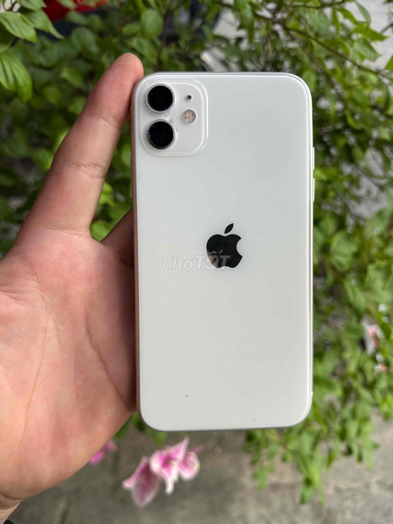 Apple iPhone 11 64GB main zin màn zin bao Xài. Mua bán Điện thoại tại Quận Tân Bình Tp Hồ Chí Minh được đăng bởi Nguyễn Thắng Mobile hình 1