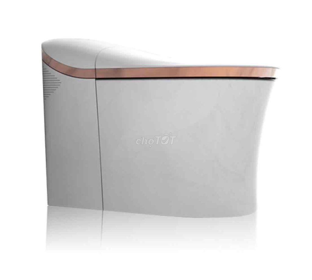 Bồn cầu thông minh Kohler Eir K-77795MY-SG-0