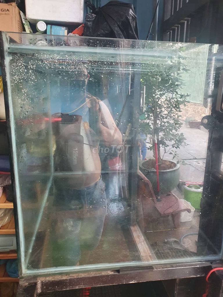 Bể cá Kính 10 lít. Mua bán Phụ kiện, Thức ăn, Dịch vụ tại Quận Bình Tân Tp Hồ Chí Minh được đăng bởi cần gì bán đó hình 1