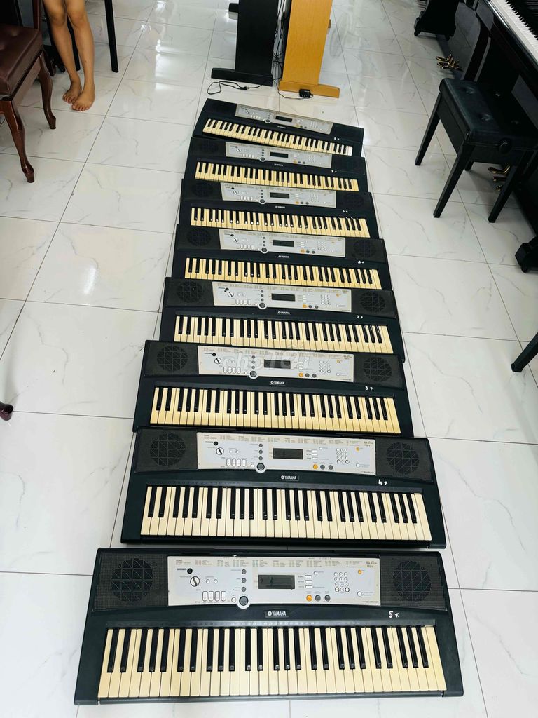 organ yamaha psr e203