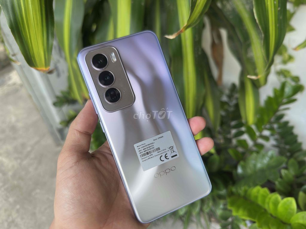 Oppo Reno12 Pro 5G 12GB/512GB Tím. Mua bán Điện thoại tại Quận Ninh Kiều Cần Thơ được đăng bởi ĐIỆN THOẠI GIÁ TỐT UY TÍN  hình 1
