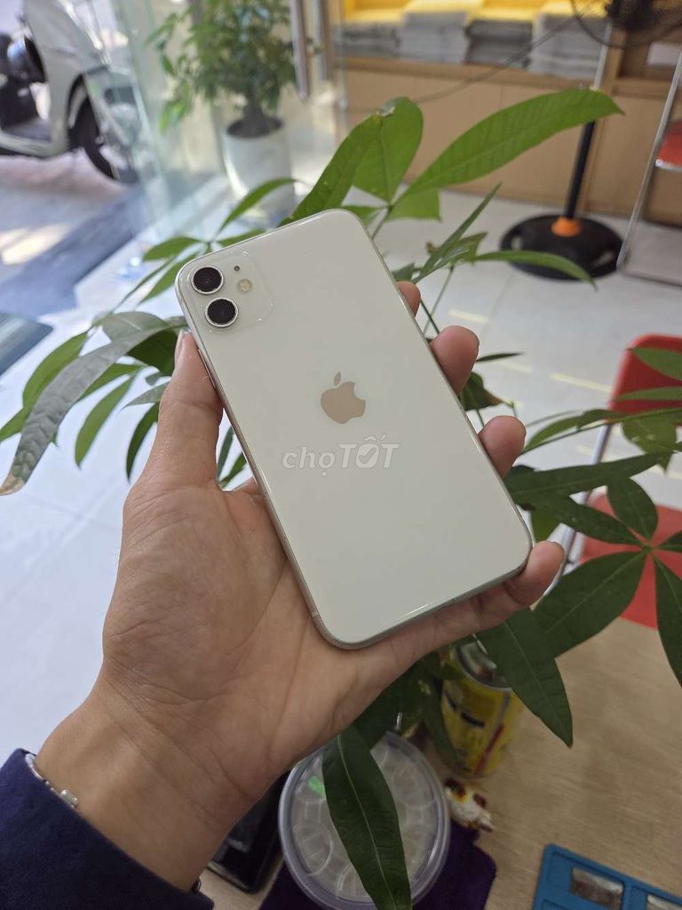 Apple iPhone 11 64GB thanh lý giá tốt. Mua bán Điện thoại tại Quận Hải Châu Đà Nẵng được đăng bởi MiPhone hình 1