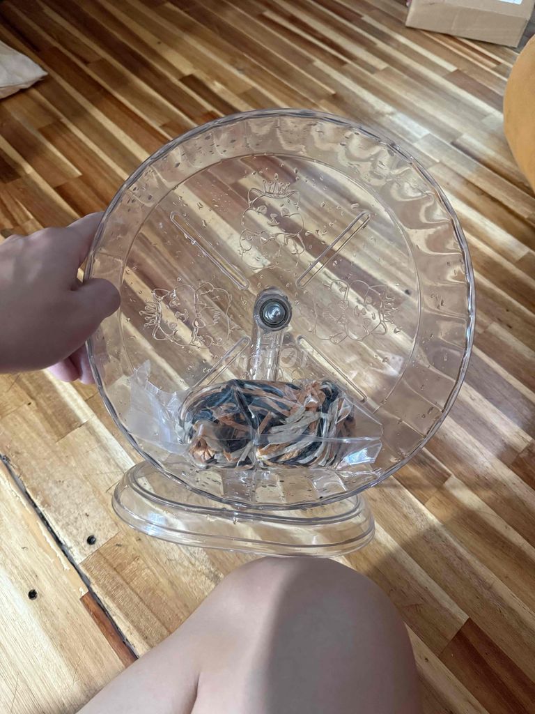 Bánh xe Hamster nhựa trong 24cm. Mua bán Phụ kiện, Thức ăn, Dịch vụ tại Quận 11 Tp Hồ Chí Minh được đăng bởi Vĩnh An hình 1