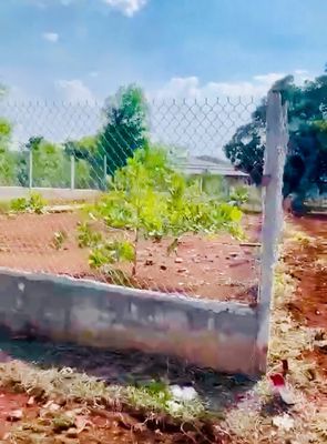 Theo anh Cr7 cần bán nhanh lô đất 1500m2 giá chỉ 250tr