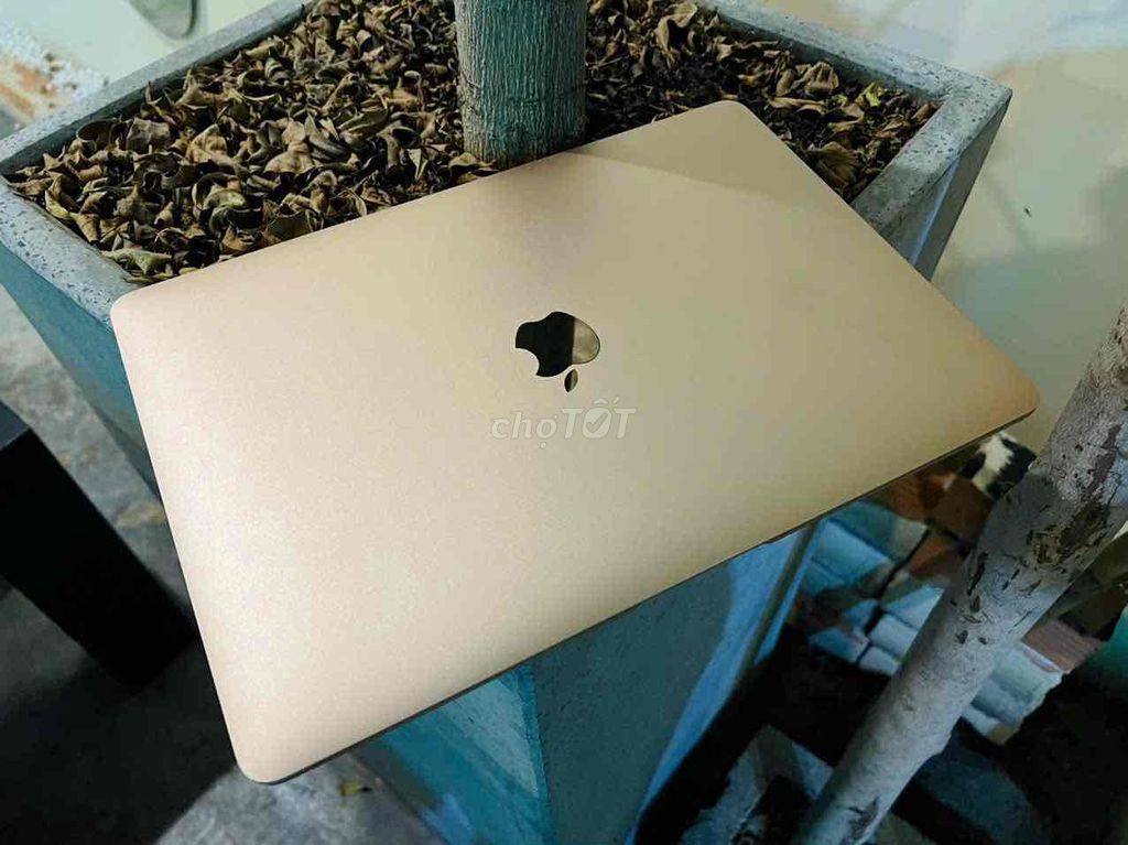 Thanh lý Macbook Air M1 nữ xài