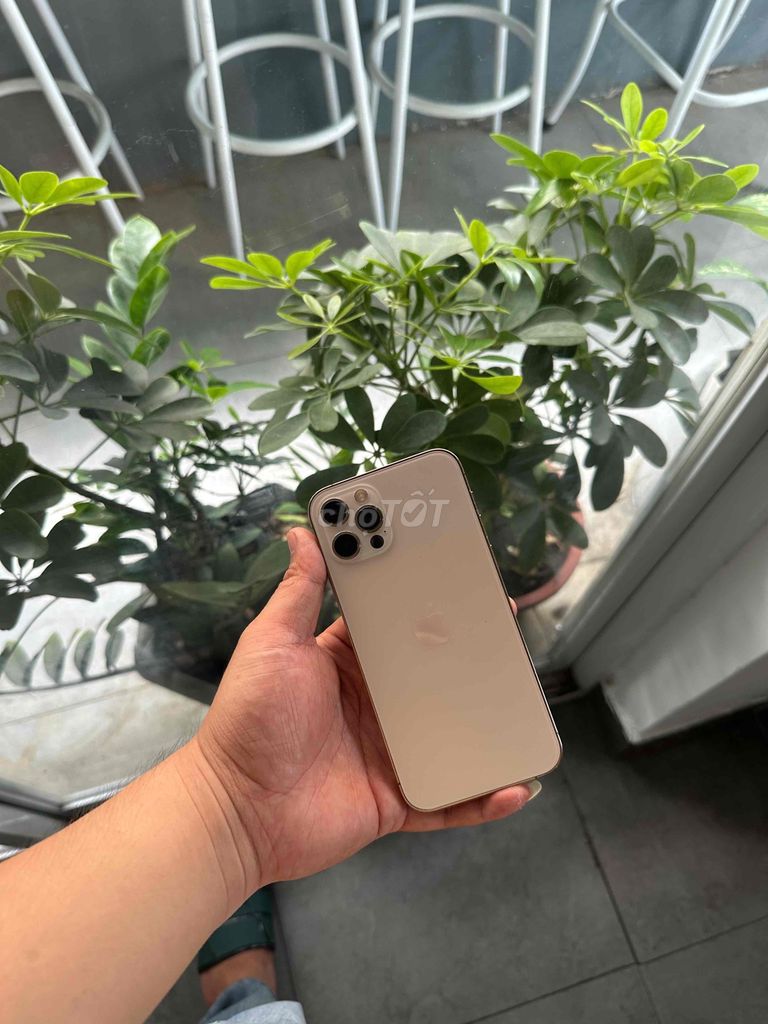 Apple iPhone 12 Pro 128GB Vàng Đã sử dụng. Mua bán Điện thoại tại Quận 10 Tp Hồ Chí Minh được đăng bởi Lê Hoàng Khoa  hình 1