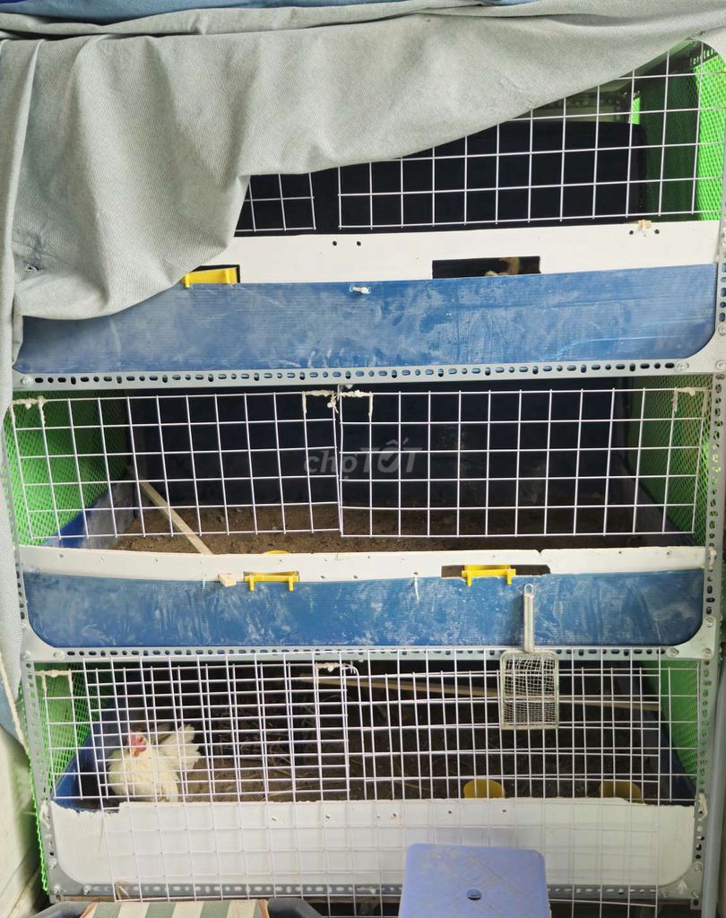 Chuồng gà. Mua bán Phụ kiện, Thức ăn, Dịch vụ tại Thành phố Thủ Đức Tp Hồ Chí Minh được đăng bởi DaiKa hình 1