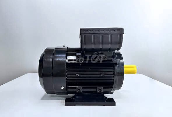 Motor điện TECO 1 pha. Mua bán Đồ chuyên dụng, Giống nuôi trồng tại Quận Bình Tân Tp Hồ Chí Minh được đăng bởi CƠ ĐIỆN TÂN THÀNH TÀI hình 1