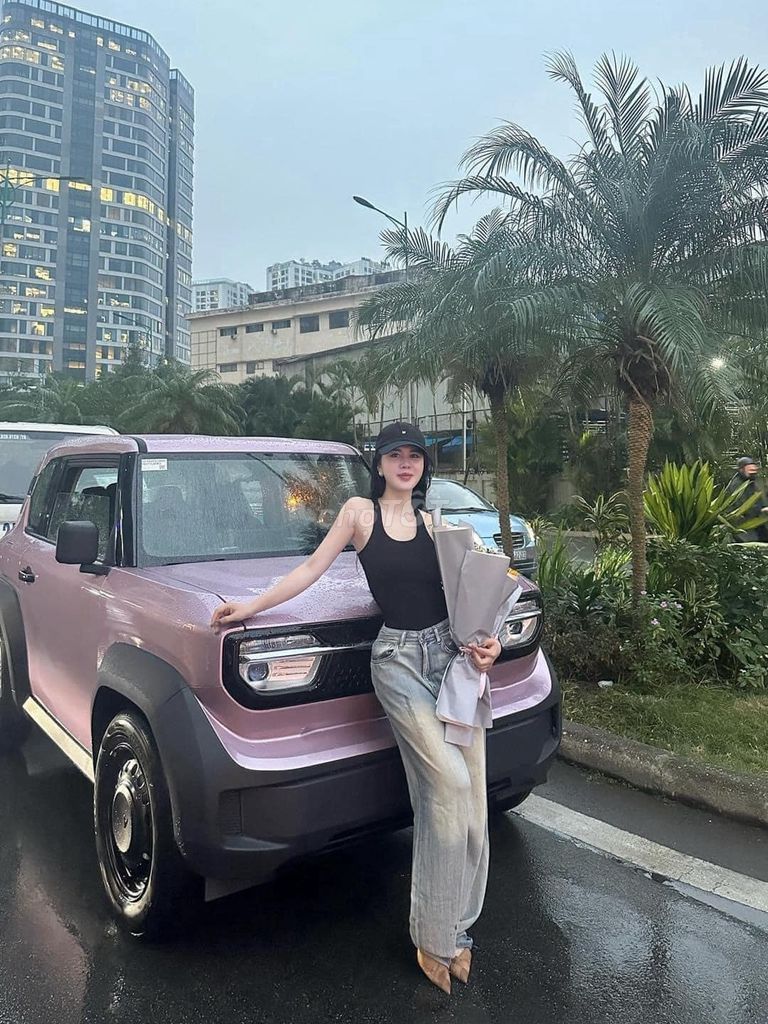 VinFast VF3 2025  - 1233 km. Mua bán Ô tô tại Thành phố Thủ Đức Tp Hồ Chí Minh được đăng bởi trần Phúc hậu  hình 1