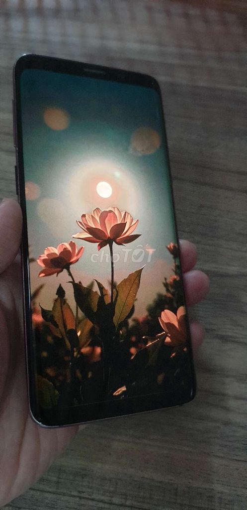 Samsung S9 chip mạnh game ngon . Mua bán Điện thoại tại Quận Tân Bình Tp Hồ Chí Minh được đăng bởi Trần Gia Bảo hình 1