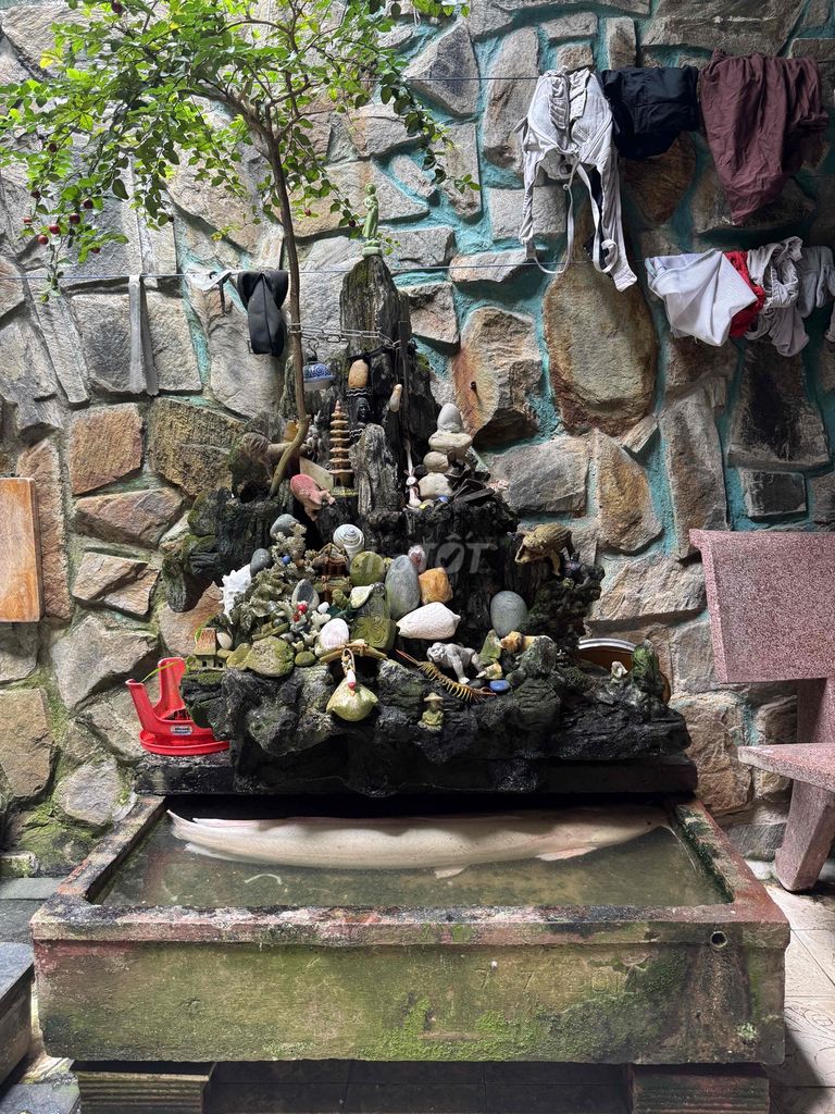 Cá trê Bạch tạng gần 1m. Mua bán Thú cưng khác tại Quận Gò Vấp Tp Hồ Chí Minh được đăng bởi Dai hình 1