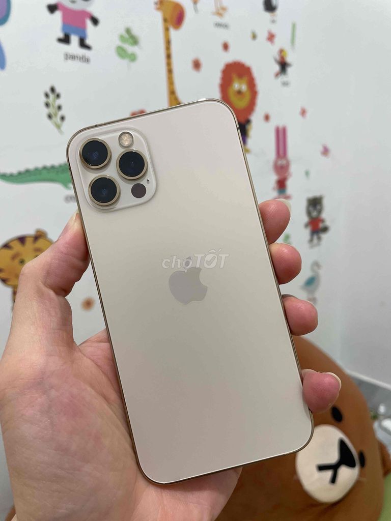 Apple iPhone 12 Pro 128GB Vàng 97%. Mua bán Điện thoại tại Thành phố Phan Rang-Tháp Chàm Ninh Thuận được đăng bởi Em Bé hình 1