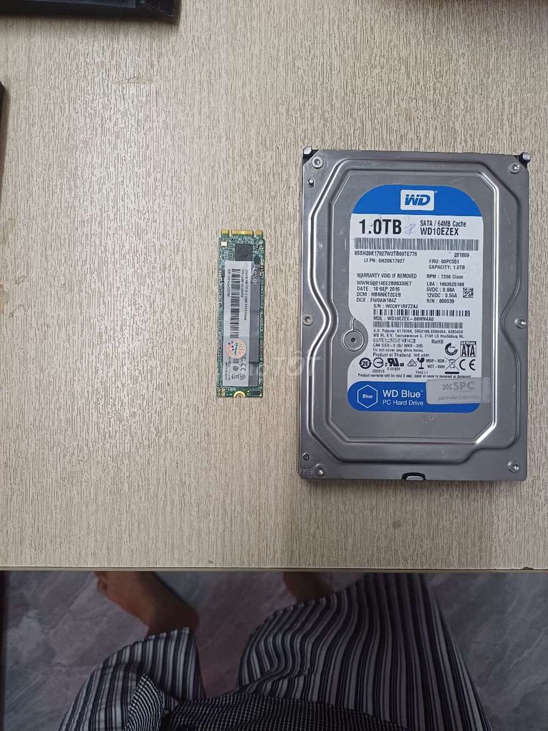 Combo Ổ SSD Lexar M.2 256GB + HDD WD 1TB BLUE Zin