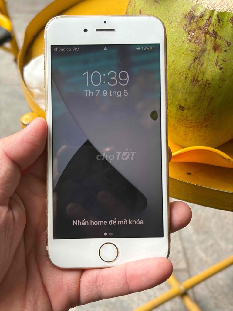 iPhone 6s 64GB Vàng Đã qua sử dụng. Mua bán Điện thoại tại Quận Hà Đông Hà Nội được đăng bởi Hoa Bưởi hình 1