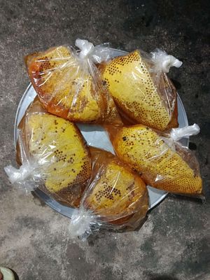 Mật ong rừng. Mua bán Đồ ăn, thực phẩm và các loại khác tại Thành phố Thủ Đức Tp Hồ Chí Minh được đăng bởi Hồ Sámg