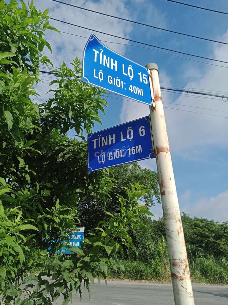 Đất vườn mặt tiền đường