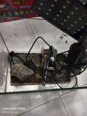 Hồ cá Kính đầy đủ phụ kiện Đẹp. Mua bán Phụ kiện, Thức ăn, Dịch vụ tại Quận 11 Tp Hồ Chí Minh được đăng bởi Quang tuấn