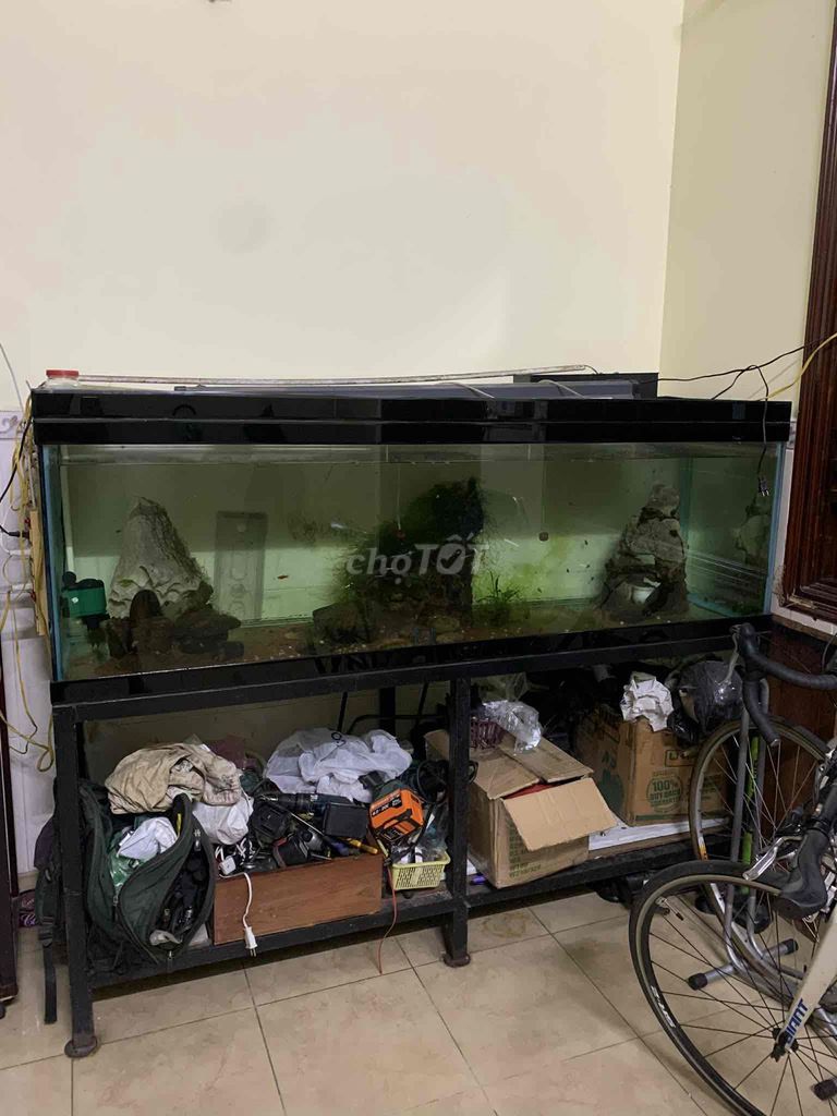 Hồ cá cảnh Kính . DT 1m8x60cm. Mua bán Phụ kiện, Thức ăn, Dịch vụ tại Quận Tân Bình Tp Hồ Chí Minh được đăng bởi Teeku hình 1