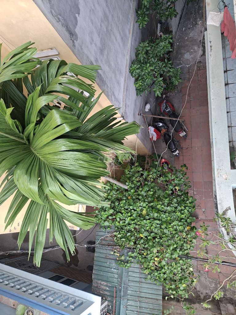 Phòng 30m2 thoáng mát , Bạch mai , Hà nội.