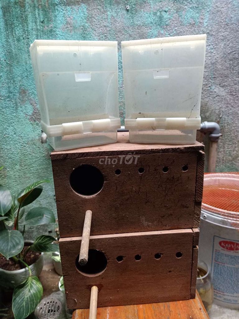 Máng ăn chuồng chim yến phụng. Mua bán Phụ kiện, Thức ăn, Dịch vụ tại Quận Cẩm Lệ Đà Nẵng được đăng bởi Nguyễn Thành Long hình 1