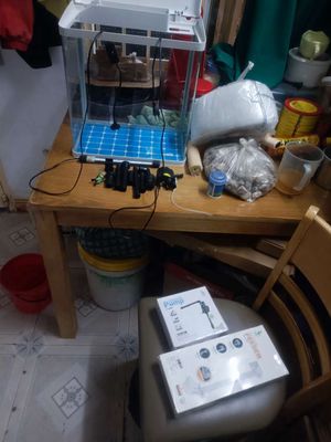 Hồ cá có nắp , có lọc oxy. Mua bán Phụ kiện, Thức ăn, Dịch vụ tại Quận Gò Vấp Tp Hồ Chí Minh được đăng bởi T Hiền 