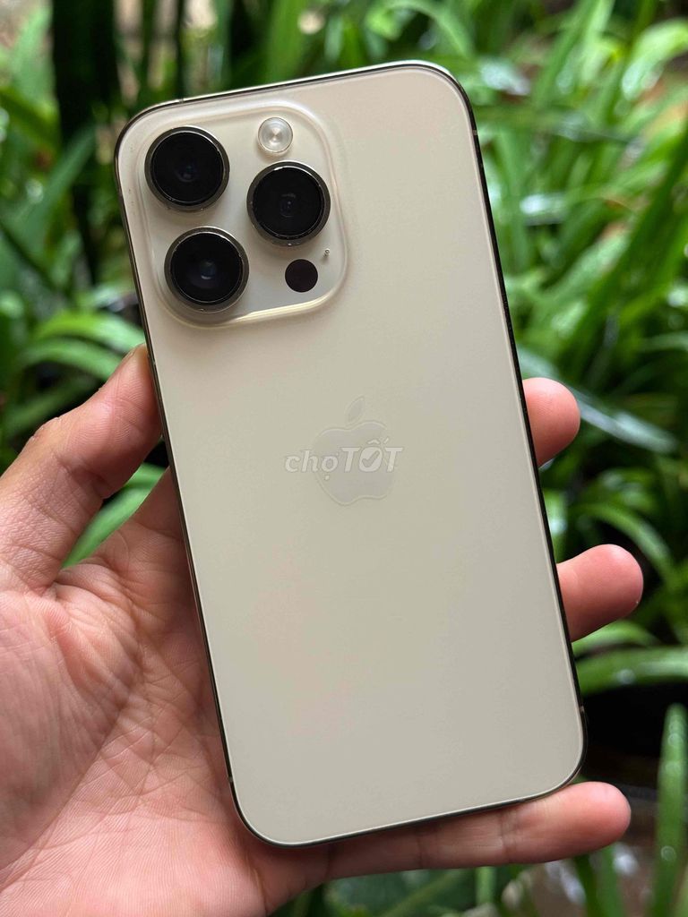 iPhone 14 Pro 256GB Vàng bán hoặc hl. Mua bán Điện thoại tại Thành phố Đà Lạt Lâm Đồng được đăng bởi nhanh gọn lẹ hình 1