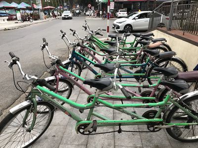 Bán xe đạp đôi 13 chiếc (lần 2)