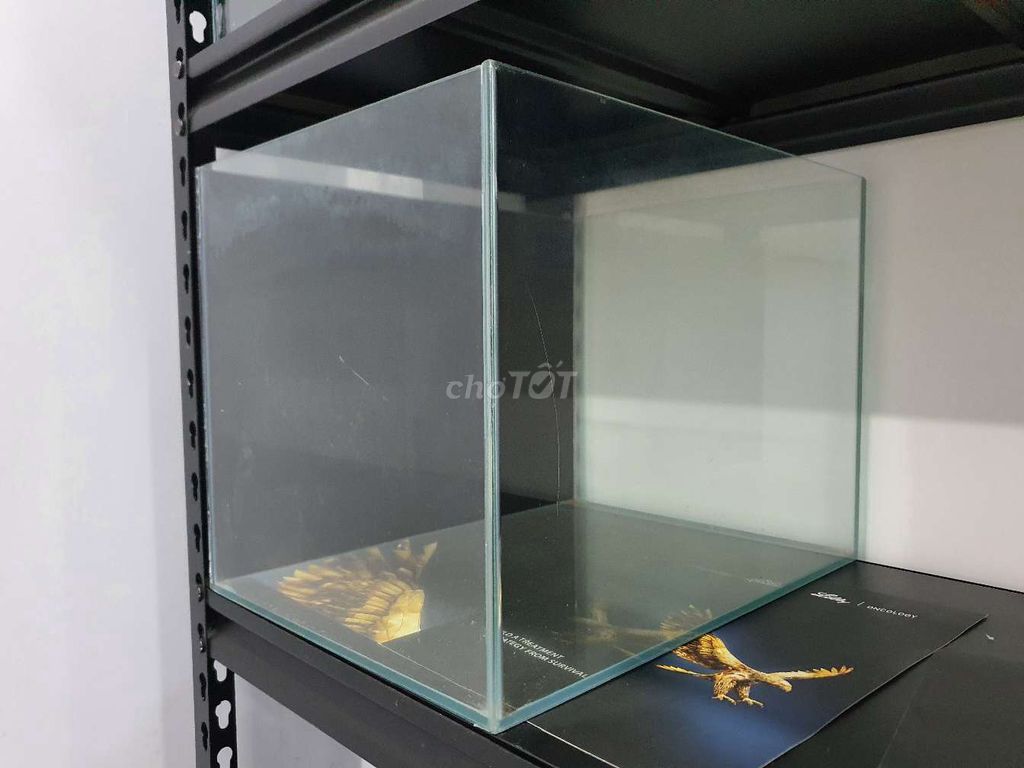 Hồ cá Kính 40x30cm Trong suốt. Mua bán Phụ kiện, Thức ăn, Dịch vụ tại Quận Tân Bình Tp Hồ Chí Minh được đăng bởi Thuan hình 1