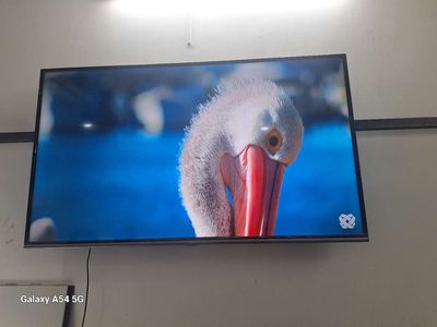 Bán tivi TCL 55inh đời mới. Mua bán Tivi, Âm thanh tại Quận Hai Bà Trưng Hà Nội được đăng bởi Ms Sunny