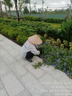 [Q9] TUYỂN 30 CÔNG NHÂN CHĂM SÓC CÂY - 380K/NGÀY