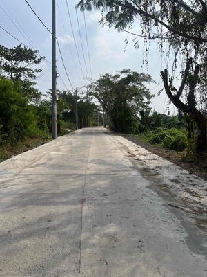 Đất MT đường Xương Cá 1 gần trường Việt Mỹ. Mua bán đất tại Huyện Nhà Bè Tp Hồ Chí Minh được đăng bởi Bất Động Sản Nhà Bè