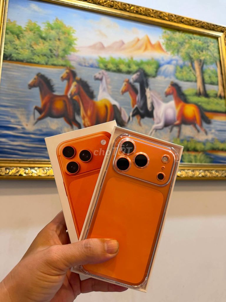 Apple iPhone 17 Pro 256GB Cam Việt Nam Như mới. Mua bán Điện thoại tại Quận 10 Tp Hồ Chí Minh được đăng bởi Út Giang hình 1
