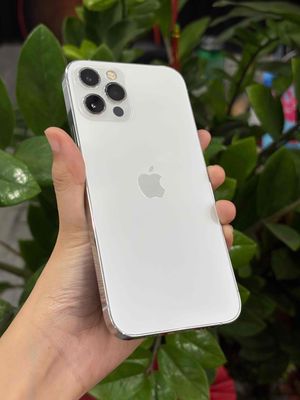 12pro đưa 4tr5 góp nậu xớ