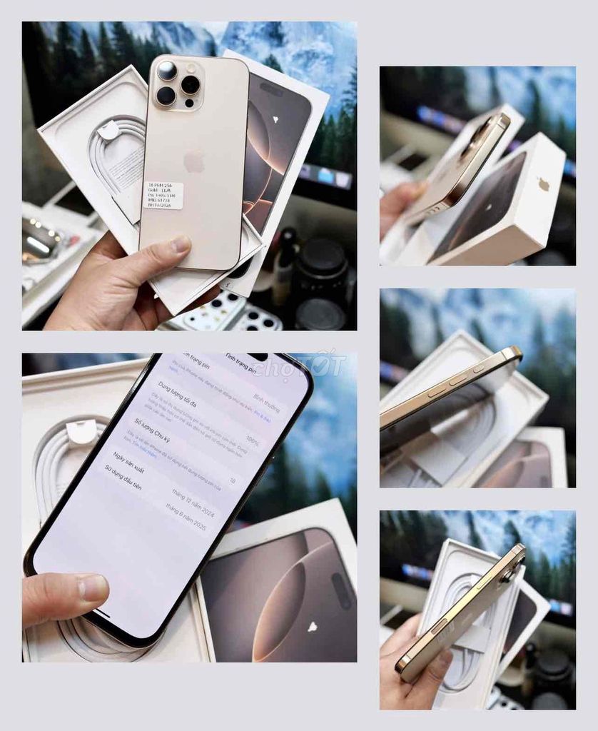 iPhone 16 Pro Max 256GB Gold FULLBOX BH APPLE 2026. Mua bán Điện thoại tại Quận Thanh Xuân Hà Nội được đăng bởi Nguyễn Huy Dũng hình 1