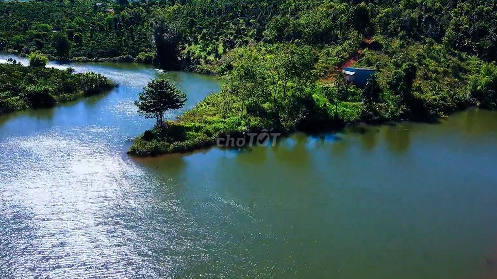 Bán 1,2Ha đất view hồ bán đảo, ĐăkNia, TP Gia Nghĩa, giá 2.5 tỷ