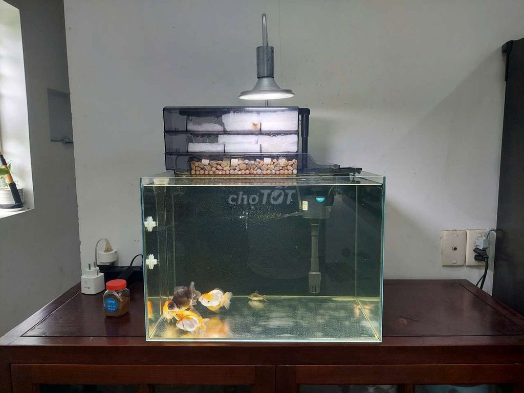 Thanh lý hồ cá kính siêu trong. Mua bán Phụ kiện, Thức ăn, Dịch vụ tại Thành phố Rạch Giá Kiên Giang được đăng bởi Trần Phương Nam hình 1