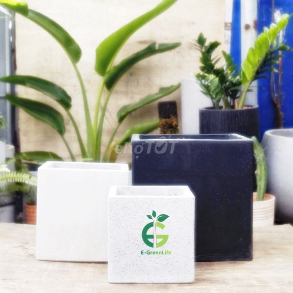 Chậu xi măng siêu nhẹ , dáng vuông. Mua bán Cây cảnh, đồ trang trí tại Quận Bắc Từ Liêm Hà Nội được đăng bởi EGreenlife nhà vườn xanh hình 1