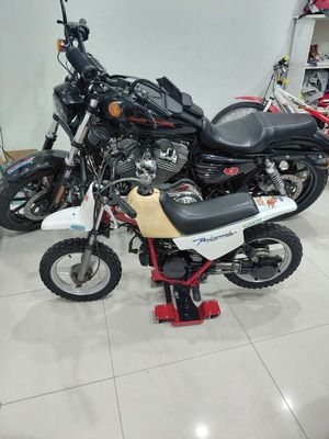 Cào cào yamaha 50cc nội địa nhật. Mua bán Xe máy tại Quận 6 Tp Hồ Chí Minh được đăng bởi Đỗ Phạm Hùng