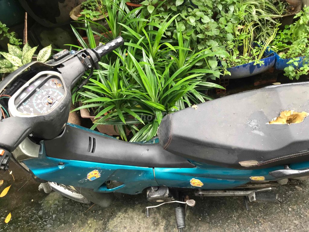 Bán con xe wave. Mua bán Xe máy tại Quận Tân Phú Tp Hồ Chí Minh được đăng bởi đời là thế thôi hình 4